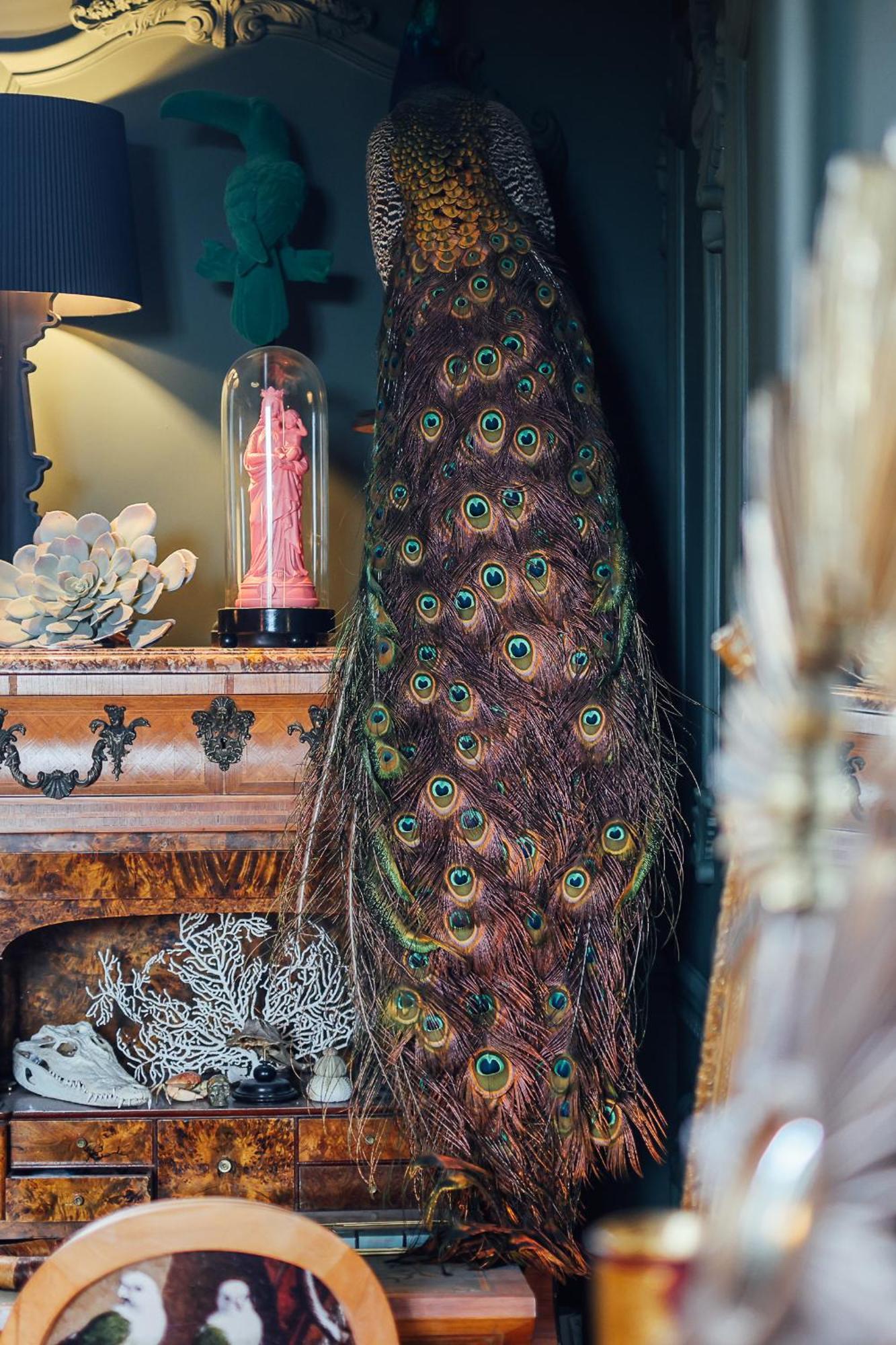 Malouiniere Guillaume Onffroy Bed & Breakfast Saint-Malo Exterior photo